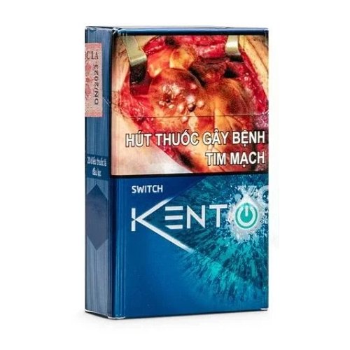 Vietnamese Kent Switch