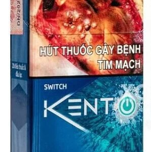 Vietnamese Kent Switch