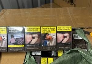 Alternative view of Winfield original classic 20s Cigarettes x 10 Packs /1 Carton
