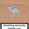 Camel Natural Flavor 8